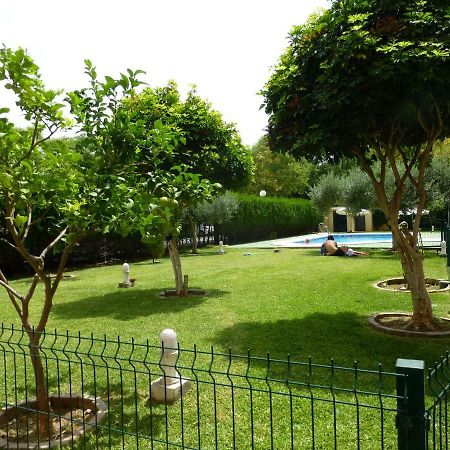 Milenium Palace - Garaje Incluido - Piscina-Fibes Seville Exterior photo